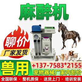 宠物呼吸麻醉机大小鼠动物呼吸机实验室气体呼吸麻醉机麻醉手推车