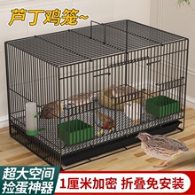 芦丁鸡专用养殖笼子家用加密大号芦丁鸡铁丝笼小鸡小鸭子鹌鹑鸟笼