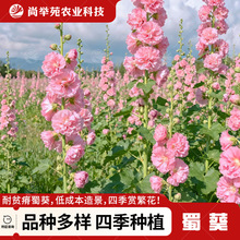 ذNļ_⻨׻ܷN̨ͥԺN