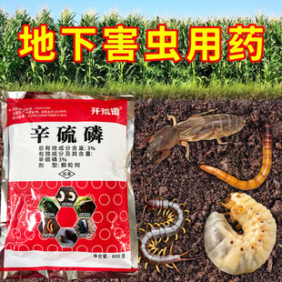 ��������º��x����ș�������x�����������w���rș���x����ȫ���Q