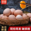 40 Farm Orthodox school free range eggs Backyard Countryside Stupid Eggs fresh Nutrition 10 ChaiJiDan Full container wholesale