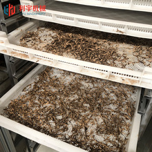 �����������əC �D�����c�՚��ܺ���O�� �۽z�عϺ�ɷ�