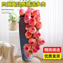 ɽ��õ�����ֲ���Ϙ��҃�����ˮ���ҾƱ���Ү�_�k�����滨�ܾGֲ