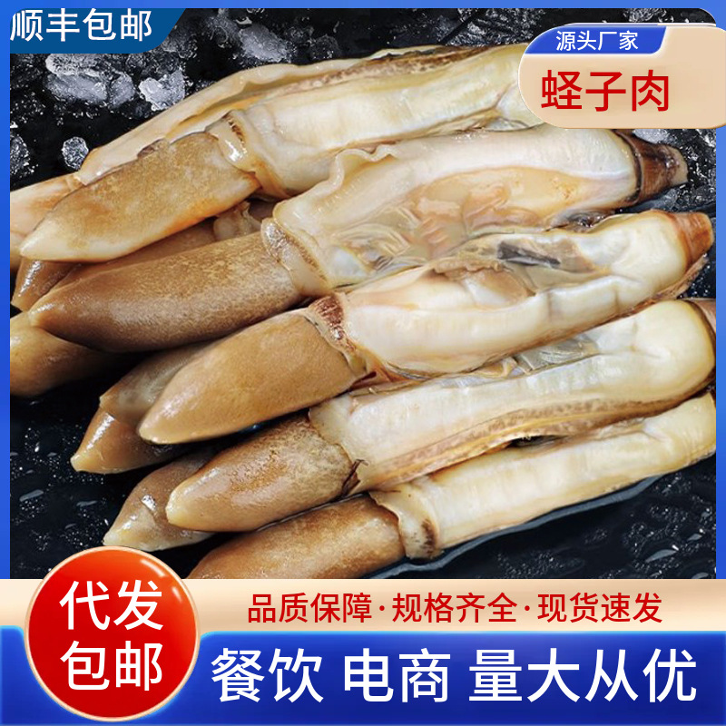 新鲜冷冻蛏王肉大个竹节蛏肉现剥速冻蛏子肉带保护冰海鲜水产批发