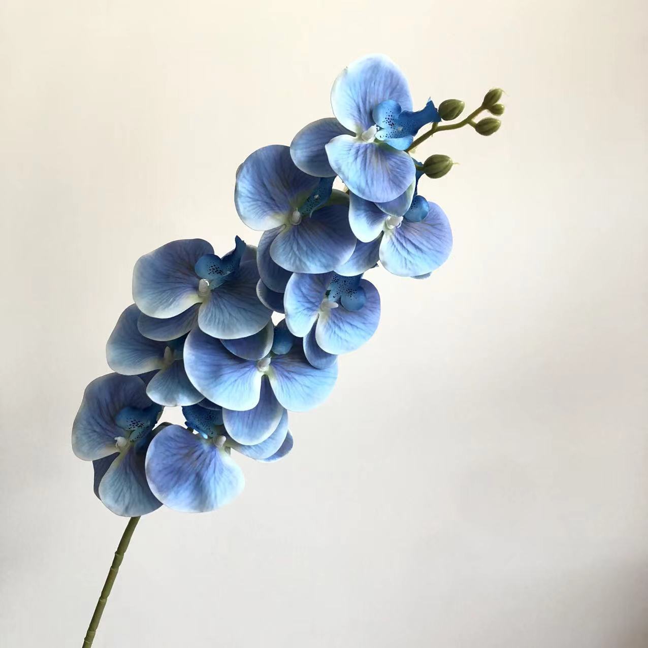 하늘색