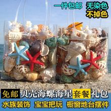 。贝壳海螺海星套装鱼缸水族箱地台造景家居摄影摆件儿童玩具小礼