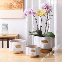 蝴蝶蘭花盆北歐風陶瓷新款室內綠植閃閃發光客廳綠蘿廠家直銷批發