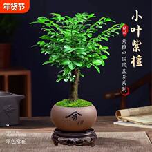 С�~��̴�辰�Gֲ�����҃��k�������滨�ܘ���ֲ���Ϙ��ļ����B��