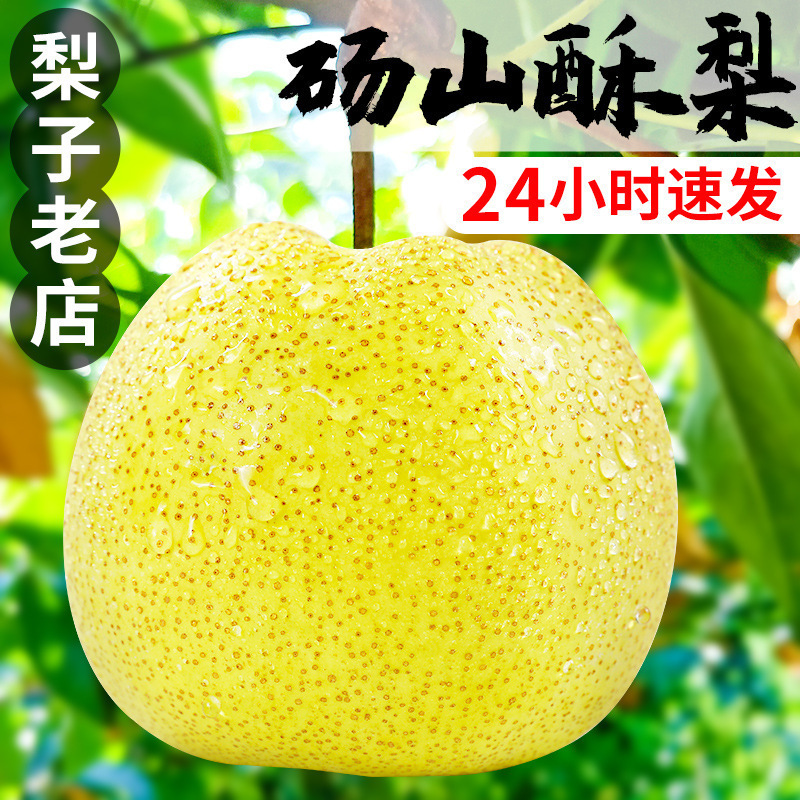 ホットセール安徽唐山クリスピーペア 5kg ペアフレッシュフルーツ季節のフルボックス送料無料特製香りのクリスピーペア|undefined