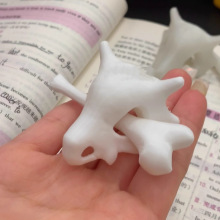 ^߰lAɉñ،mҹƷlAģ