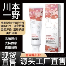 樱花牙膏清新口气舒克去口臭黑人牙膏去牙渍牙粉工厂直发现货代发