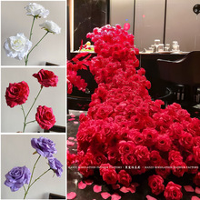 3^ʯõ廨 ٻbcY·廨̈ٲõ쾰