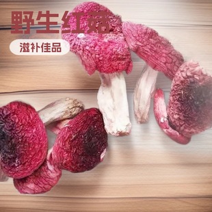 ��ϼt��Ұ���t���tĢ����؛�t����؛���a�����Ұ����Ģ���Ҝ���