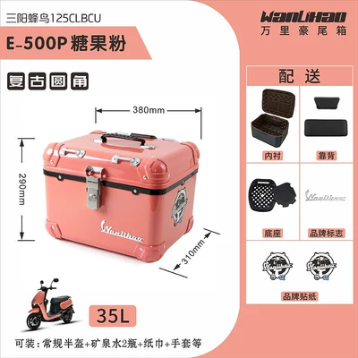 Motorcycle trunk for Sanyang Beiong ABS electric - rounded-corner-hummingbird-candy-pink-500pliningbackrest