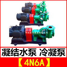4N6A 卧式单吸悬臂冷凝水泵 电厂冷凝泵 河北原厂家 沈阳产尺寸