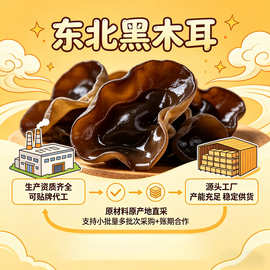 黑木耳OEM定制加工东北秋木耳小银耳碗耳食用菌南北干货特产天然