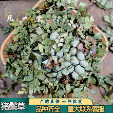 ��һ���i�ײ� �F���� ˮ�ië�� �ië�� �F�z�ݵ����x�Ŀɟo�۰l؛