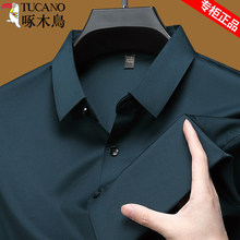 ��ľ�B�߶˟o���r���д�������꿹����C��ɫ�r���L�����e������