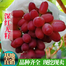 toјϷNֲ޽ӿoo˻طN