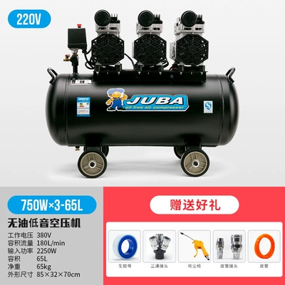 Hava kompressorları Pump Bass Oil-Free Air - 750w3-65l220v