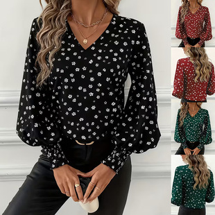 �W���羳���R�d���uͨ2025���ﶬ���䲨�cV�I���\���L���r��