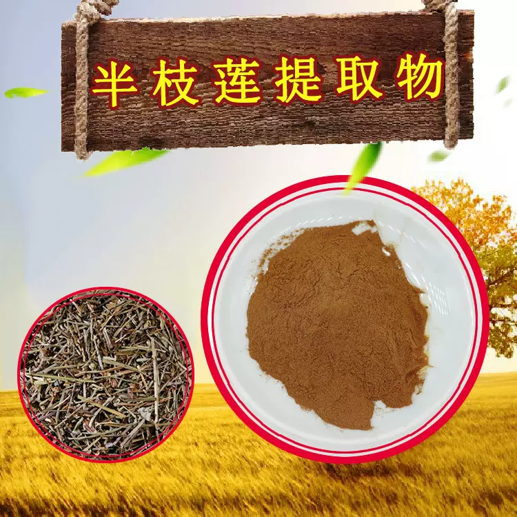 半枝莲提取物10:1品质可靠半枝莲粉支持检测通经草/紫连草提取物