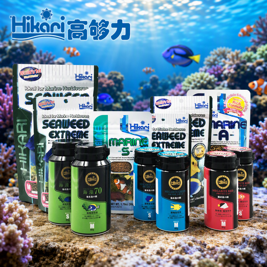 Haute résistance à la mer aliments pour poissons poissons de mer nourriture Hikarii végétarien éponge intestinale probiotiques japonais original