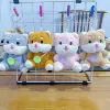 Lemon cat (single price}