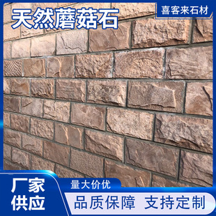 �Խ����⠝�u������ȻĢ��ʯ�e��ͥԺʯ�İ��Ҡ��u�⠝�Ļ��u�S��