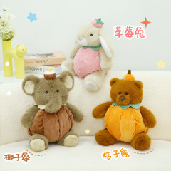 波波娃水果椰子象桔子熊草莓兔毛絨可愛寶寶安撫玩偶坐姿公仔批發
