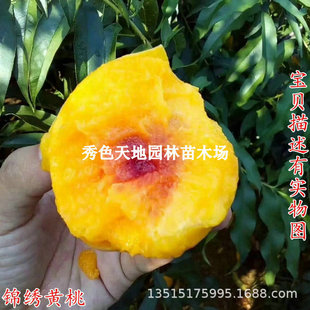 �޽��Ҙ��� ��Ʒ�N�S���� ���t�\���S�Ҙ����ϱ����NֲͥԺ������