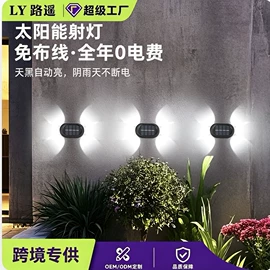 太阳能灯;手电筒;野营/露营灯
