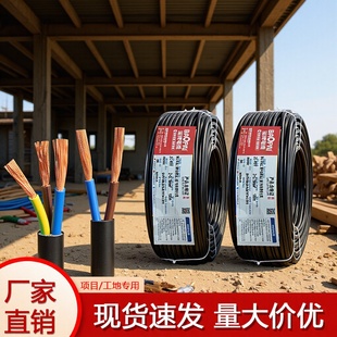 ���Ƈ���RVV��ȼ�o�׾�2/3/4о1.5/2.5/4ƽ�����~�����Դܛ늾�