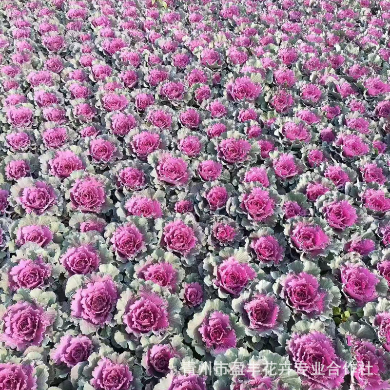 微信图片_20241105152710