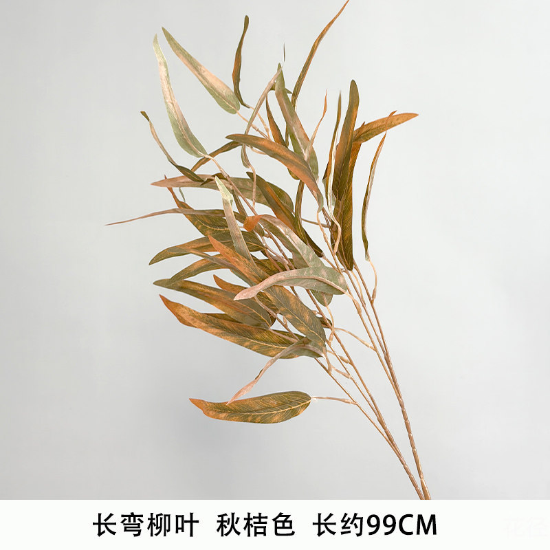 长弯柳叶