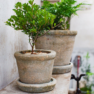 ���P �մ��ְ����f�Gֲ����͸���B���ֹ�����μy�t���莧�бP