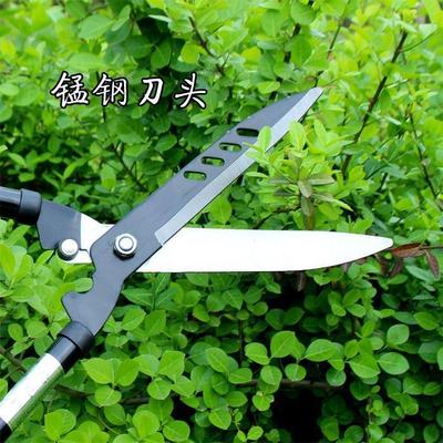 Lawn Big flower Bamboo fence scissors Tea branch trim tool Nursery gardens Fruit tree Scissors