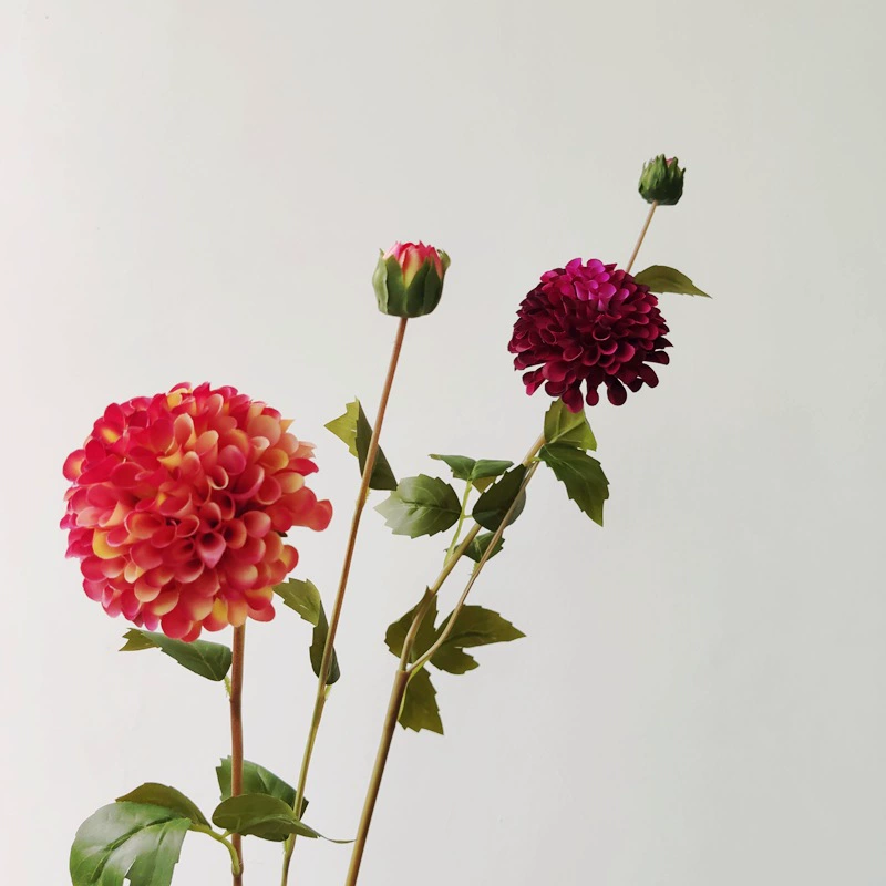 Высокая имитация моделирования георгина Дали Хризантема Декоративный цветок Шелковый цветок Домашний обеденный стол Журнальный столик Набор цветов Поддельный цветок