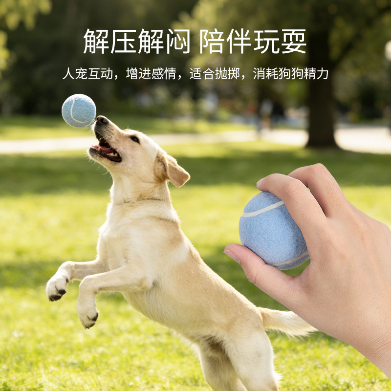 Juguetes de tenis para perros transfronterizos lanzan entrenamiento interactivo para aliviar el aburrimiento juguetes para mascotas 3 juegos de juguetes para perros de fieltro