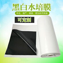 �ڰ�Ĥ�Nֲ�� �Ӻ��M�ڸ��ή�ؿ����⾀Ĥ ˮ���߲˷NֲĤ�|��