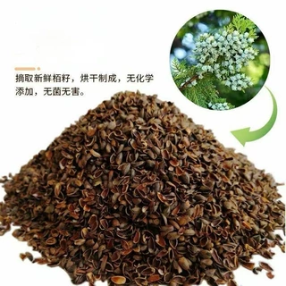 柏籽壳枕头批发柏壳散装柏子壳填充物源头工厂芦丁鸡垫料