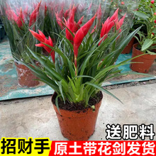 ؔ\^҃ȺB׻ֲСļGֲ