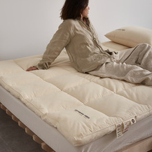 ��ʽ�oӡa�ȫ�޴󶹴��|��Ʒ͸�Ᵽůԭ�޴���|5cm�Ӻ񴲉|��