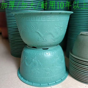 ���ϴ���Ӻ��ش�̖�a�N����ͥԺ�������������û��ض�������