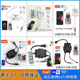110V高压涂鸦wifi智能Alexa语音RGB灯带插头COB无导线控制器220V