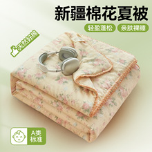 ȫ���p�Ӽ��޻�С�����ı��əCϴ�ě����ļ���ؐ��߅ϵ�п��{��