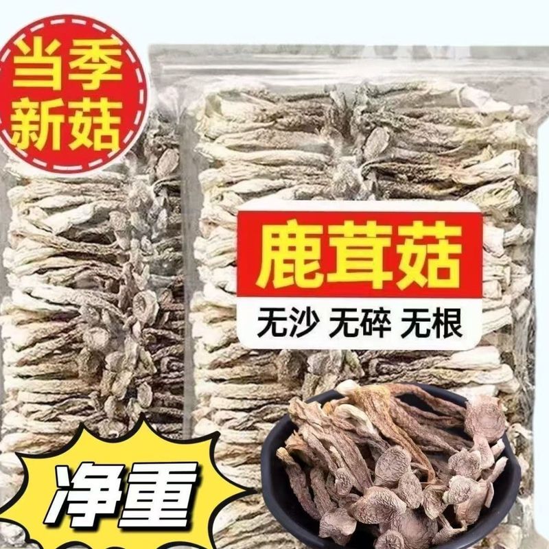鹿茸菇干货特级500g 特选鹿茸菌古田特产饭店酒店干锅鹿茸菇专用|undefined