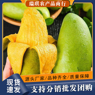 Խ����â����â������3���b�ι�250g���ϰ��]�������rˮ������â