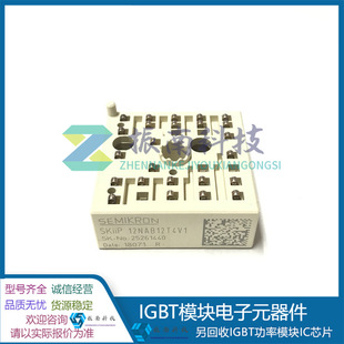 Skiip12Nab12T4V1 Skiip12Nab126V1 Igbt Power Module in Stock, Subject to Inquiry