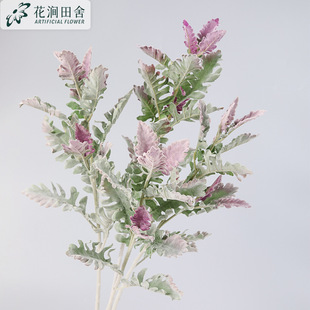 ����ֲ�� �y�~�� �҃ȸ���ؼ��~�Gֲ�Wins�����쾰���͔[�� ���l